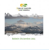 Boletín Diciembre 2011