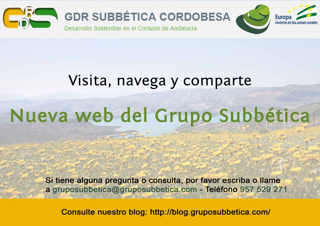 nueva web